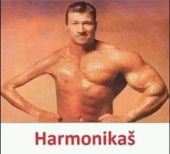 Korisnička slika od rosinci666