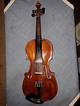 Violina